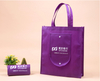 Cheap Logo Customized Non Woven Folding Bag with Pocket
