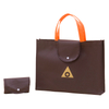 Amazon Best Selling Foldable Eco Non Woven Bags with Long Handle To Bottom Pp Board Insert