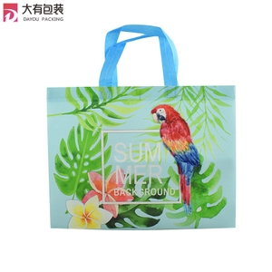  Colorful Printed Shopping Pp Non Woven Fabric Carry Bag