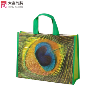 Green Eco Printed Peacock Feathers Pattern Non Woven Polypropylene Tote Bag for Supermarket