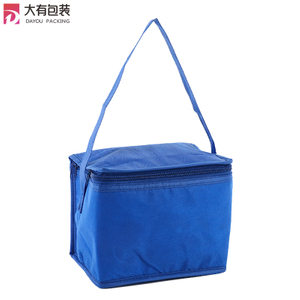 Portable Food Fitness Lunch Cooler Bag, Mini Medical Cooler Box